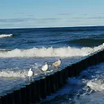 Marine Prywatny * Kołobrzeg