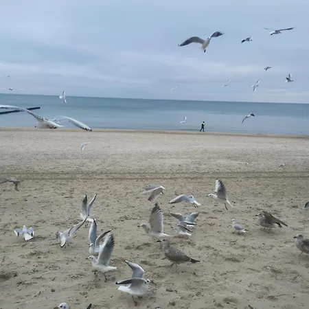 Lägenhet Marine Prywatny Kołobrzeg