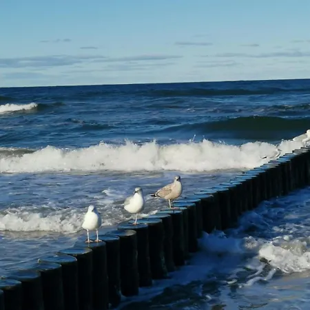 Marine Prywatny * Kołobrzeg