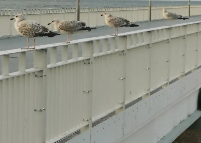 Marine Prywatny Apartament *