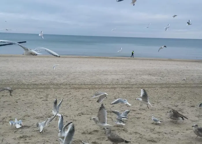 Apartament Marine Prywatny Kołobrzeg