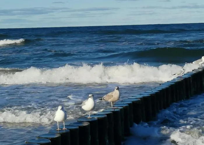 Marine Prywatny * Kołobrzeg